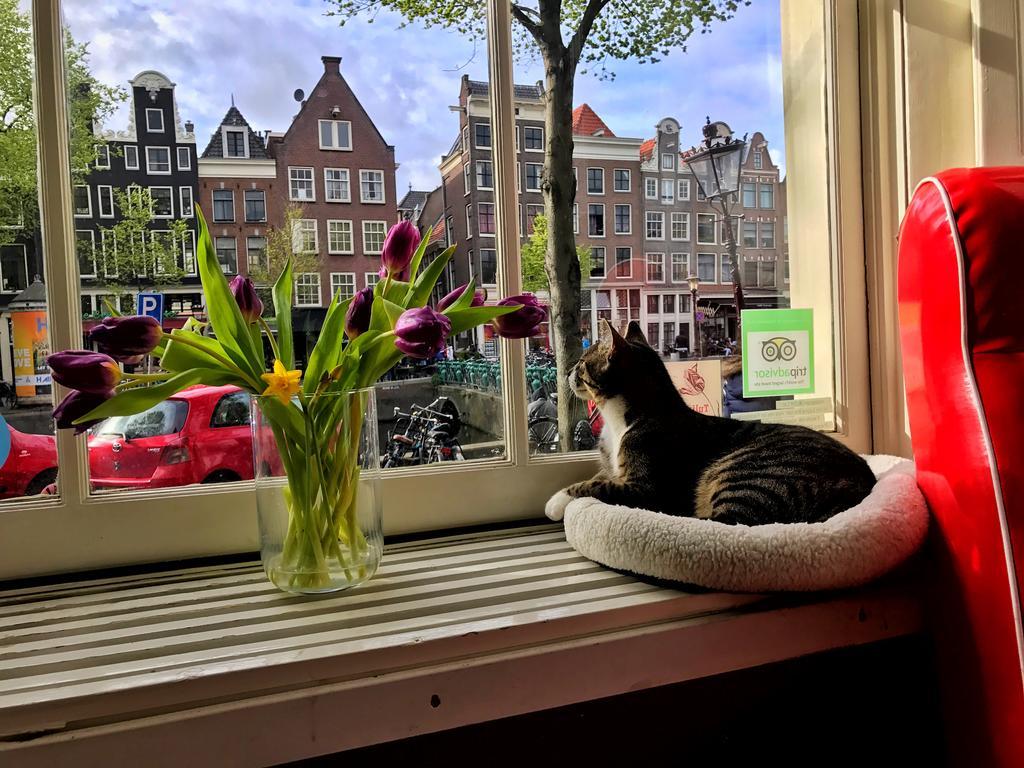 Bed and Breakfast Tulip Of Амстердам Экстерьер фото